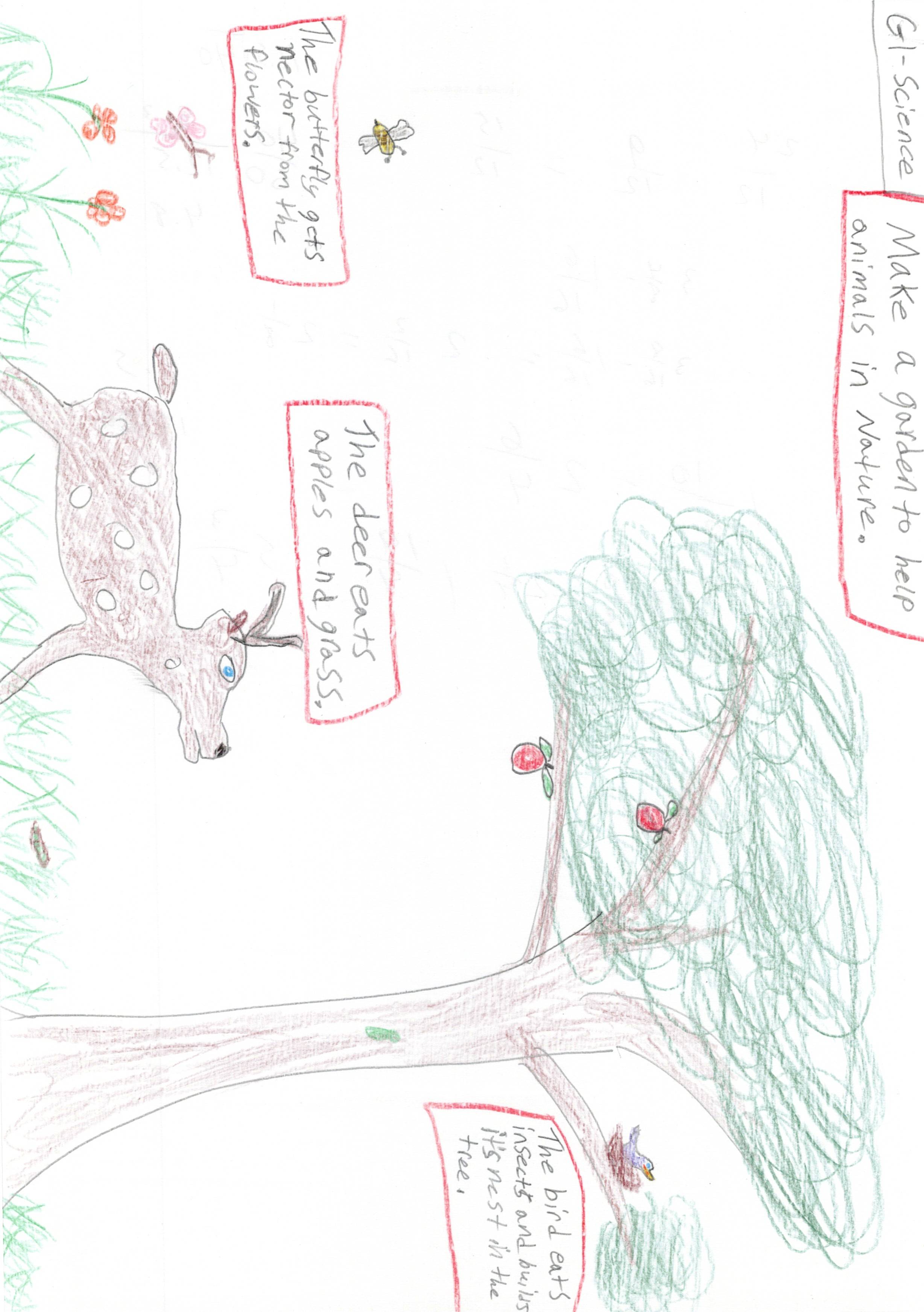Make a Garden to help Animals